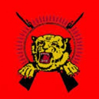 Les Tigres du Tamoul gagnent au Tribunal