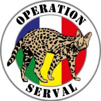 N°37. L’opération Serval devenue opération Barkhane au Sahel