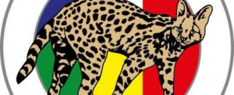 N°37. L’opération Serval devenue opération Barkhane au Sahel