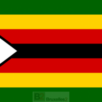 Zimbabwe. Le gel des avoirs du couple Mugabe et l’embargo sur les armes prolongés