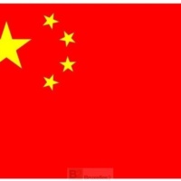 Un dialogue franc avec la Chine sur les droits de l’Homme. La poétesse Liu Xia libérée et accueillie à Berlin