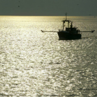 Vers un nouvel accord de pêche avec le Maroc… y compris dans les eaux sahraouies
