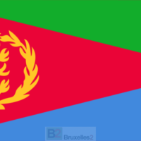 Embargo sur les armes. L’Erythrée rit, la Somalie pleure