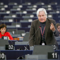 Les Algériens soutenus par le Parlement européen, pas très résolu à afficher son soutien