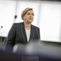 Un commissaire européen chargé de la désinformation. La dernière idée du Parlement européen