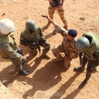 Le manque de progrès de la Force conjointe du G5 Sahel remarqué à l’ONU