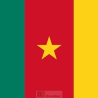 Les Européens restent préoccupés sur la situation au Cameroun, malgré la libération de Maurice Kamto