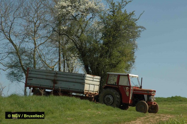 ChampTracteurBerry026a