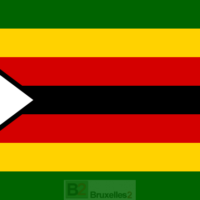 Zimbabwe : sanctions (un peu) allégées. Embargo sur les armes maintenu. Avoirs de Grace Mugabe dégelés